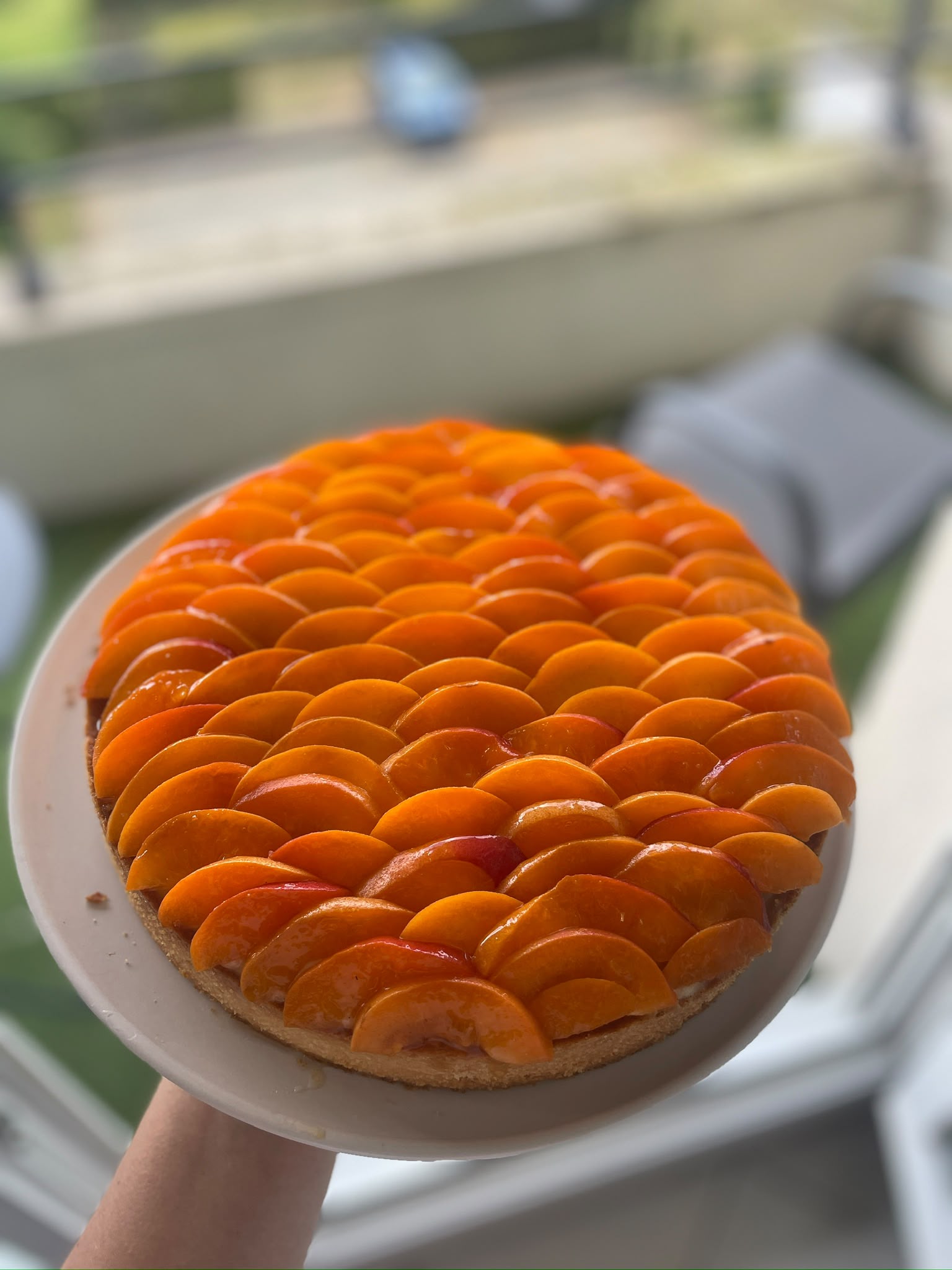 L'ensoleillée aux abricots